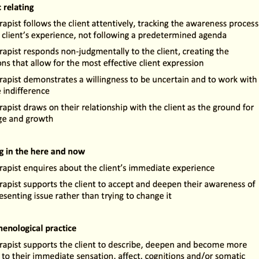 The Gestalt Therapy Fidelity Scale