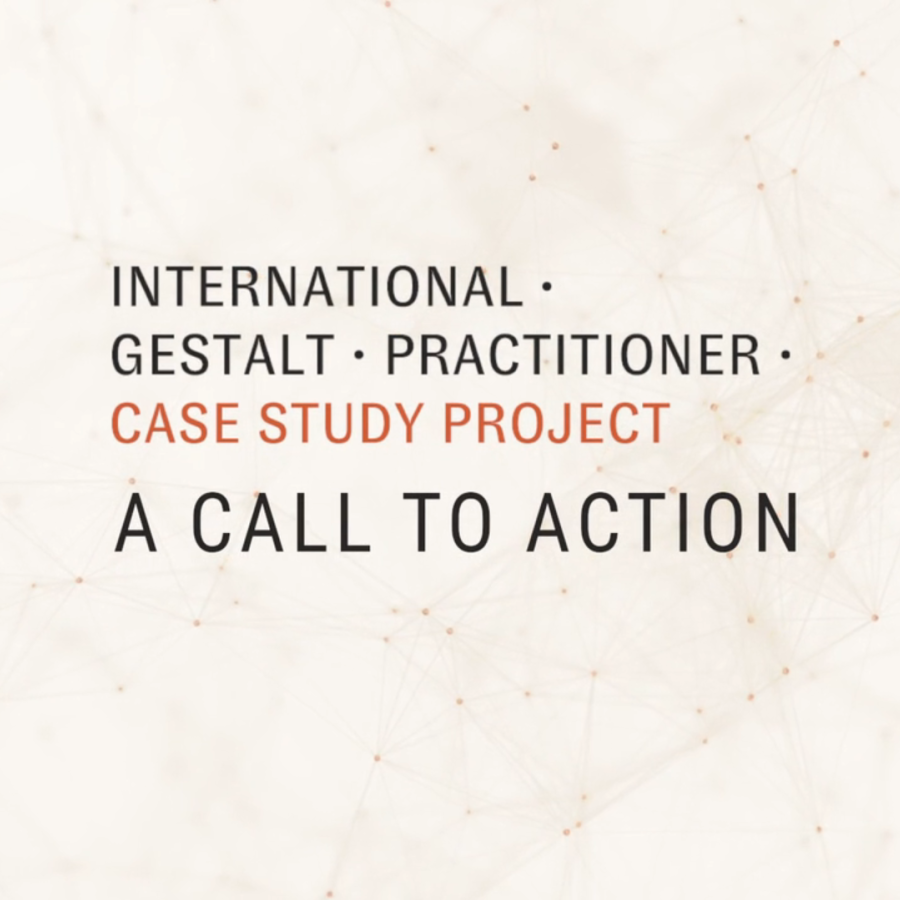 Practitioner Case Study Research Project